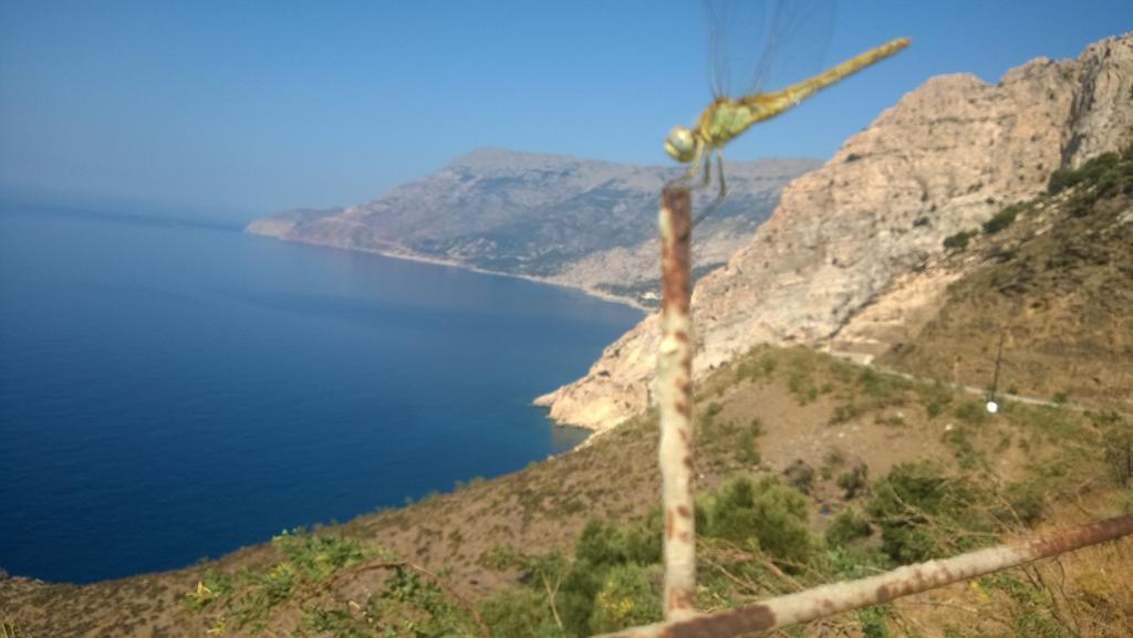 Ikaria Studios Manganítis Екстериор снимка